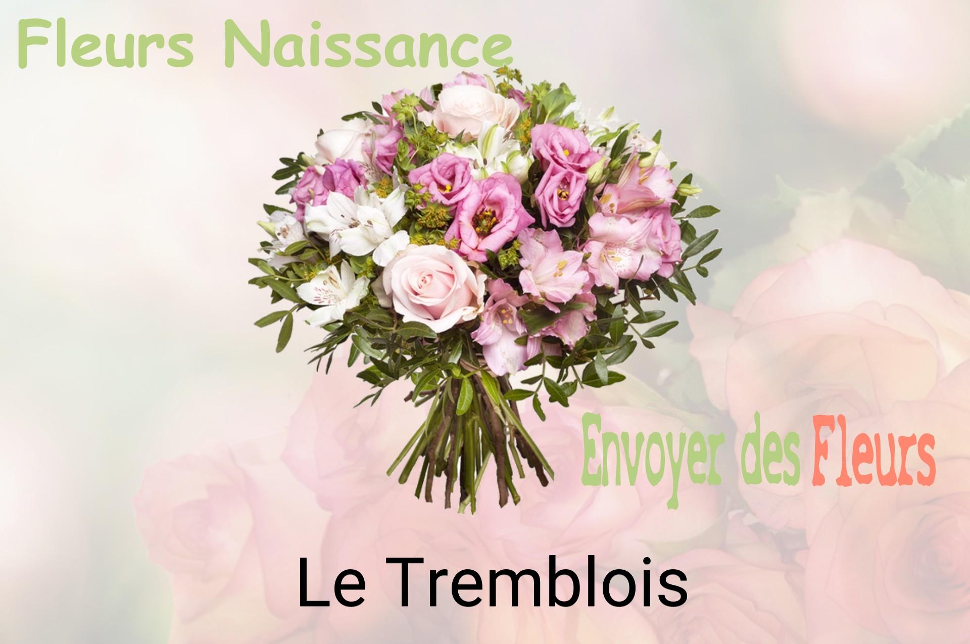 Bouquet de fleurs de naissance livré à Le Tremblois