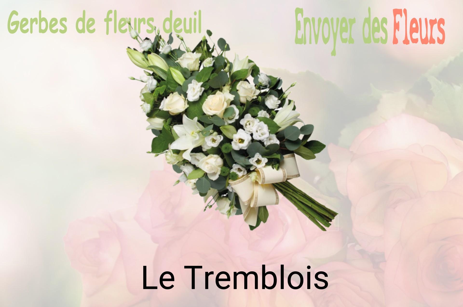 Gerbe de fleurs de deuil livrée à Le Tremblois
