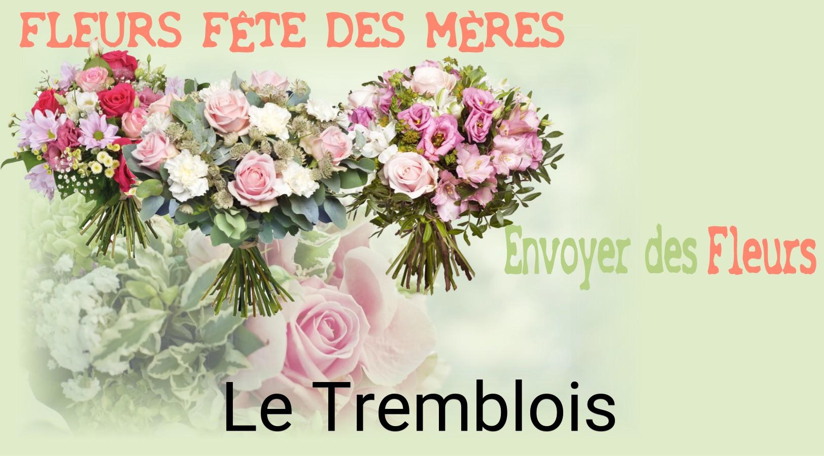 Bouquet de Fête des Mères livré à Le Tremblois